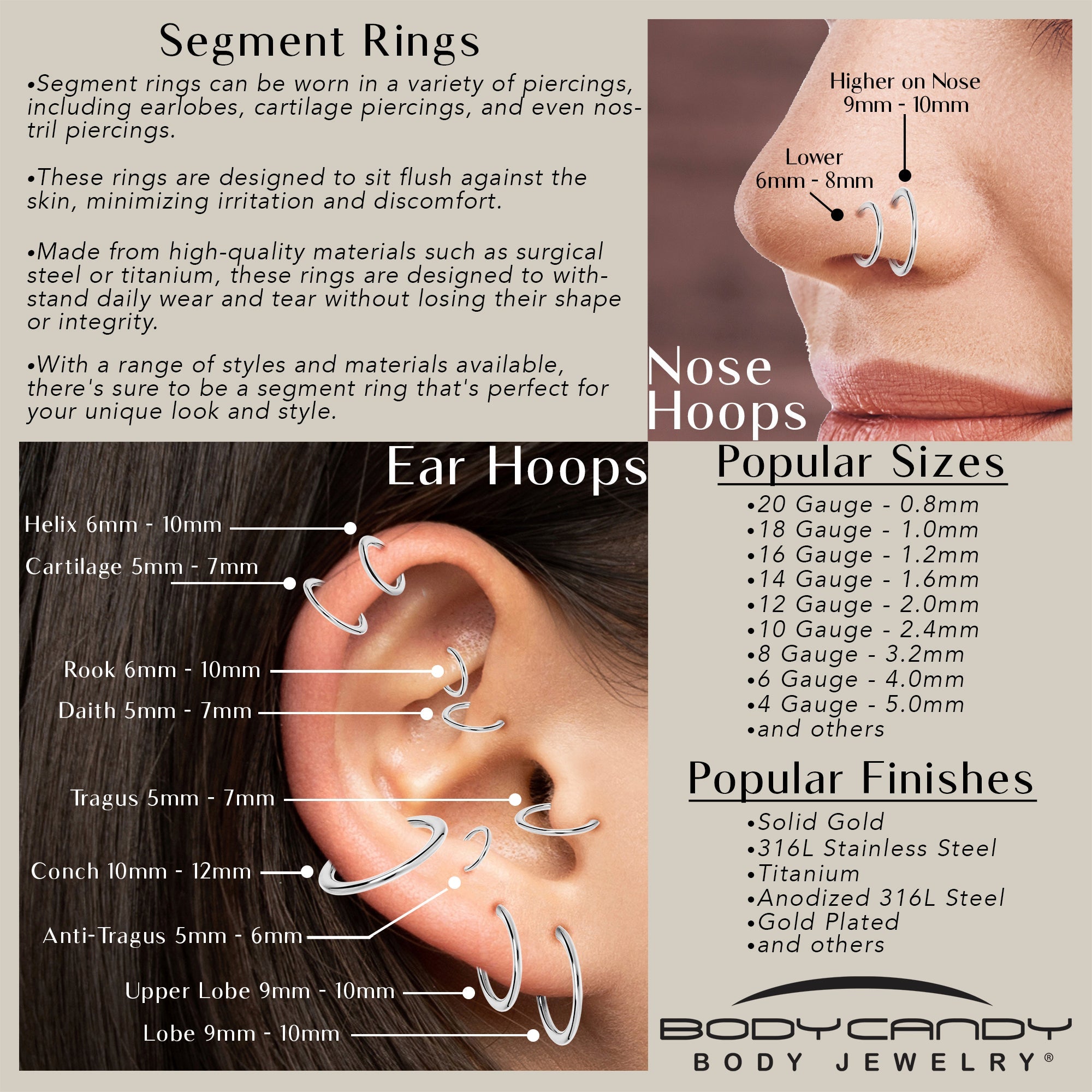 6G 1/2 316L Surgical Steel Precision Hinged Segment Hoop