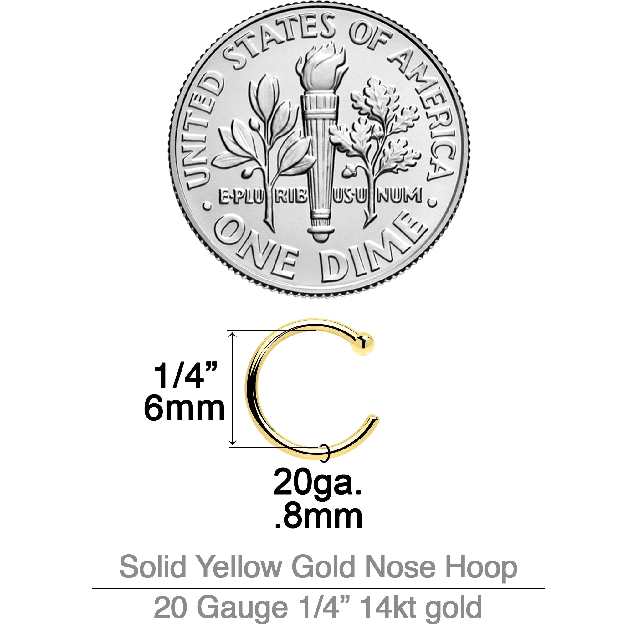 20G 1/4 14k Solid Yellow Gold Nose Hoop